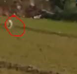 1746867125202.png