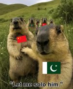 GqXxO4-bMAQTf54.jpeg
