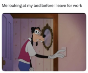 1746918431504.png