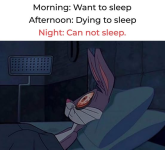 1746918886803.png