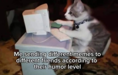 1747009777079.png