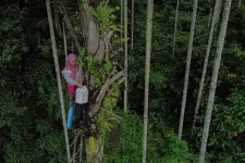 1747014953286.webp