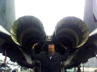 Polish_20210715_015820321.jpg