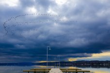 OutNAbout-5058.jpg