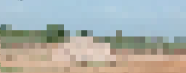 bat 2.PNG