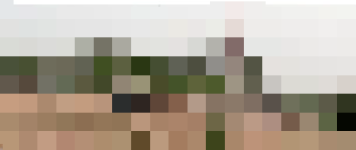 bat bat (1).png