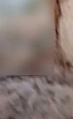arrest 1.png