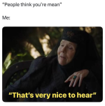 1747338360654.png