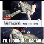 1747397629669.png