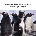 1747754315438.png