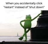 1747767208956.png
