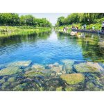 初夏的味道_16_兰舸一叶_来自小红书网页版.jpg