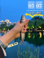05_07｜亮马河小物钓大马口厉害了叭！_1_星雯的serendipity_来自小红书网页版.jpg
