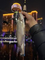 🐟亮马河的乐趣又多一个🎉_1_sophia_来自小红书网页版.jpg