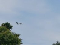 IMG_2237.jpeg