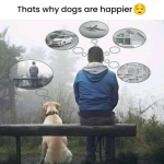 1748191257760.png
