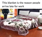 1748192674513.png