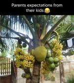 1748270143252.png