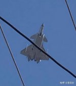 IMG_0772.jpeg