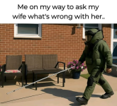 1748627759358.png