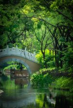 北坞公园｜北京小江南，夏日避暑胜地👍_3_小🐑爱溜达～_来自小红书网页版.jpg