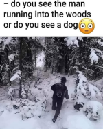 1748815111133.png