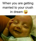 1749158518139.png