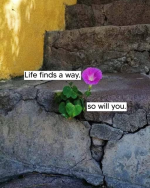 1749158711139.png