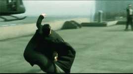 b1dd70d0292fa299cceeae566c415461c9e256a31cd70da1012dd11e52c70544.gif