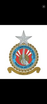 1000187225.jpg