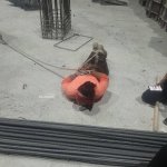 IMG_0529.jpeg