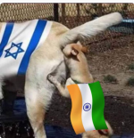1750171579694.png 1750171579694.png