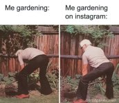 1750276592604.jpeg