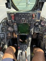 IMG_5999.jpeg