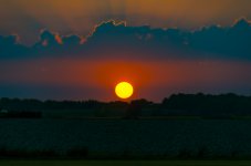 OutNAbout-7132.jpg