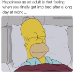 1706040415552.png