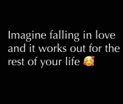 1706048579100.png