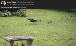 1750493811390.png