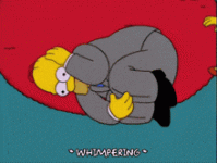 homer-fetal-position.gif homer-fetal-position.gif