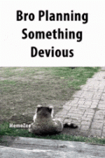 get (5).gif