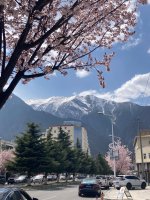林芝交友找搭子_3_随机抽你个大逼斗_来自小红书网页版.jpg