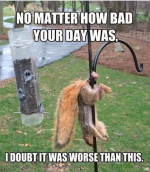 1750803736854.png