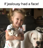 1750887268732.png