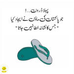 1750969929488.png