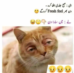 1750971241911.png
