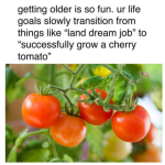 1751209714348.png