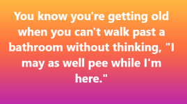 1751320200730.png
