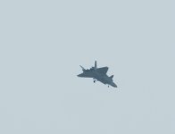 IMG_1850.jpeg