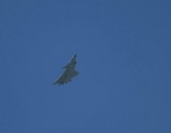 IMG_1848.jpeg