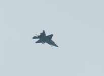 IMG_1851.jpeg